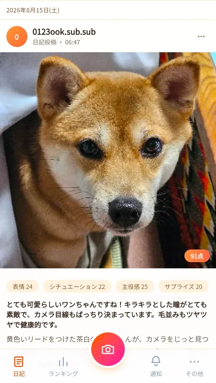 ペト点 | 愛犬・愛猫の写真をアップすると、 AIが「かわいさ」を100点満点で採点。 のスクリーンショット 4